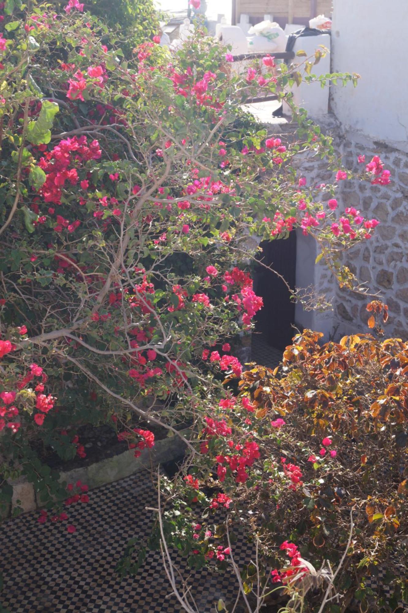 Sidi Kaouki Perla Hotell Exteriör bild