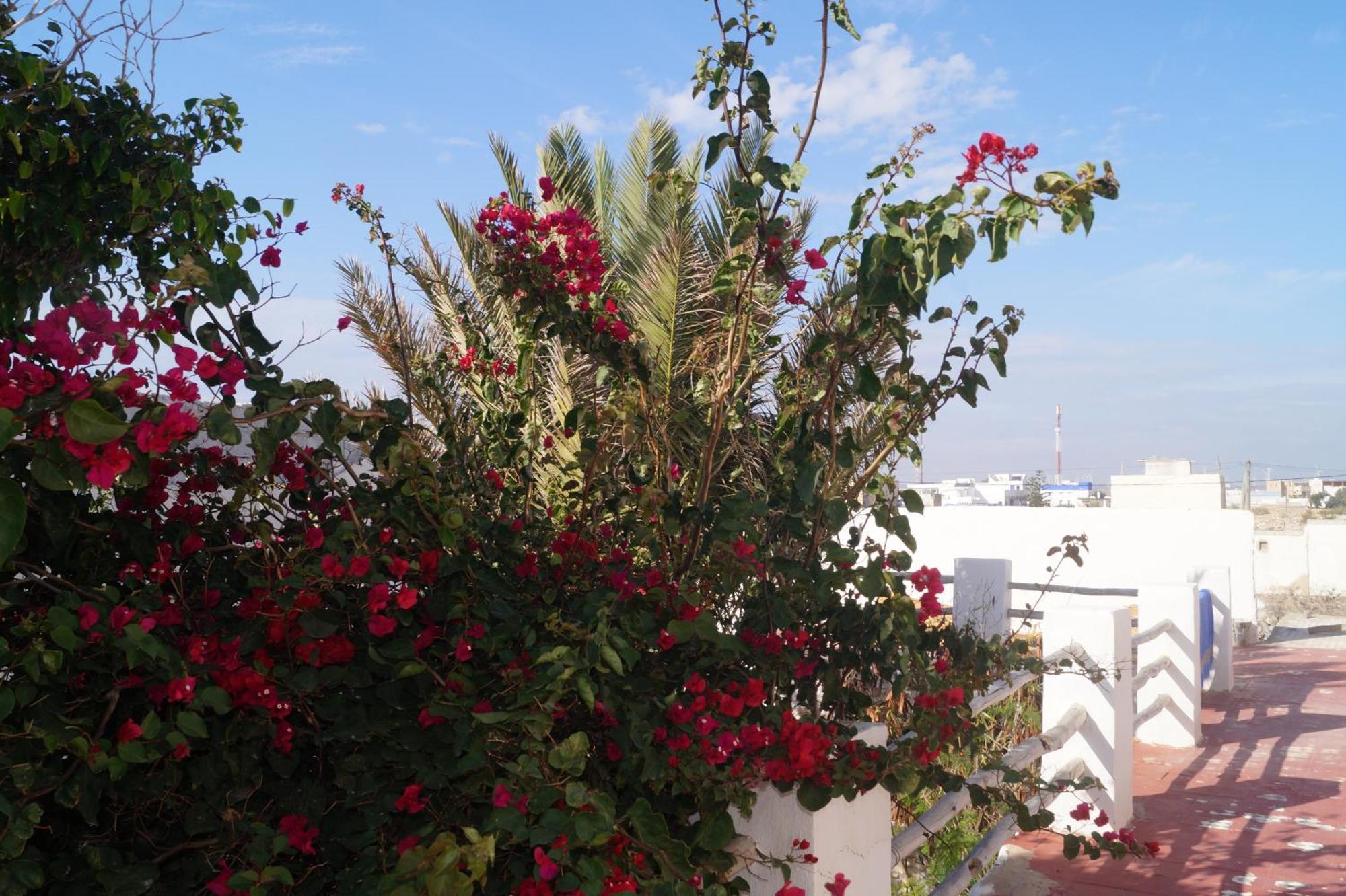 Sidi Kaouki Perla Hotell Exteriör bild