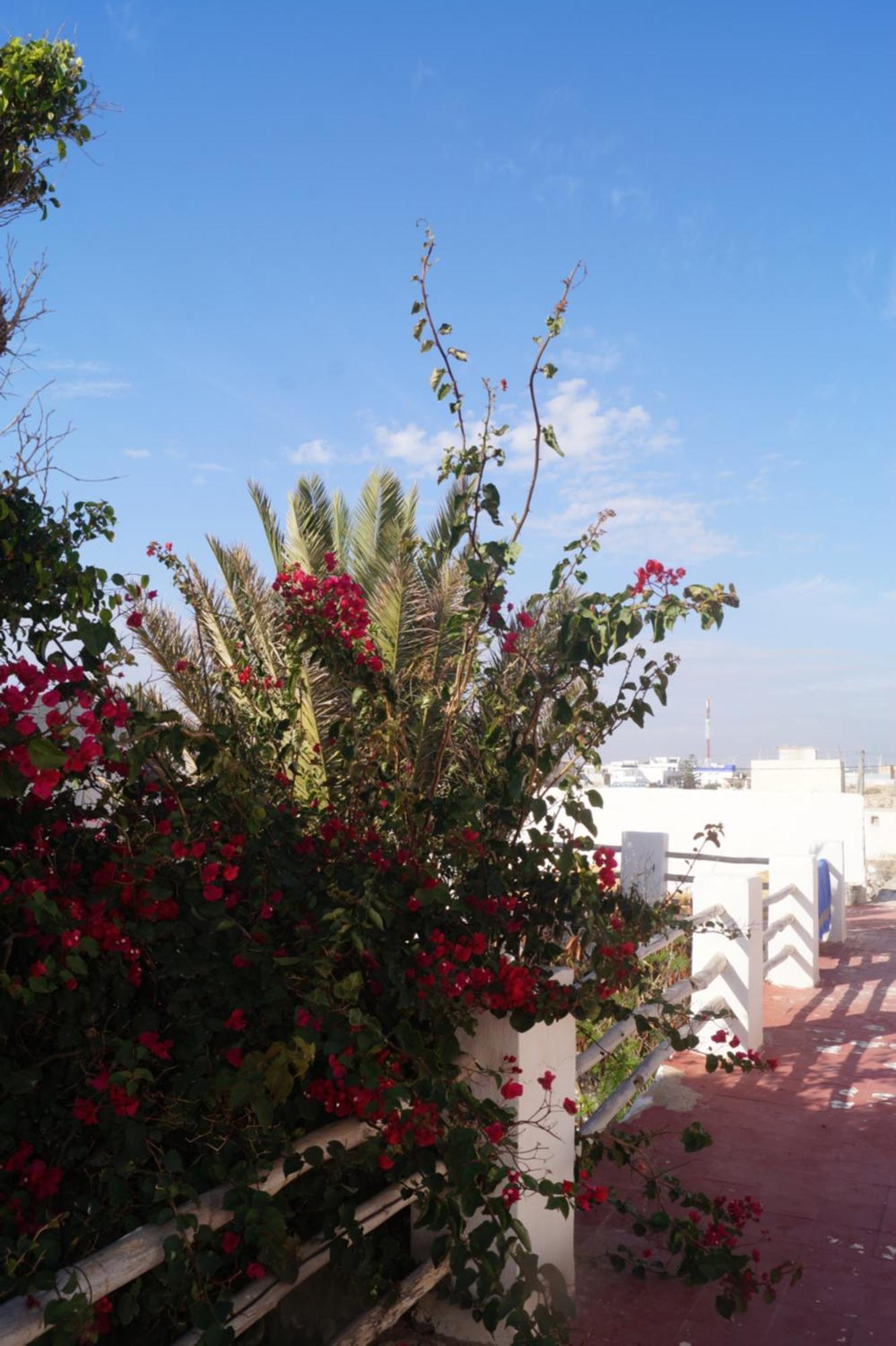 Sidi Kaouki Perla Hotell Exteriör bild