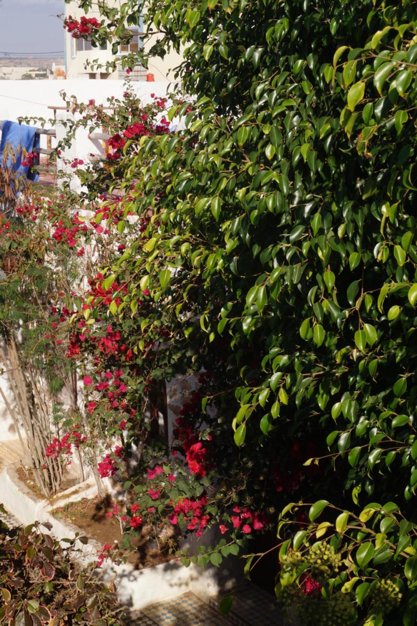 Sidi Kaouki Perla Hotell Exteriör bild